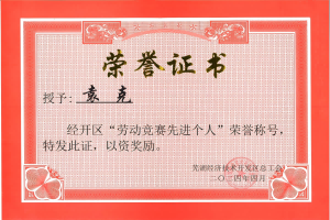 勞動競賽先進(jìn)個人